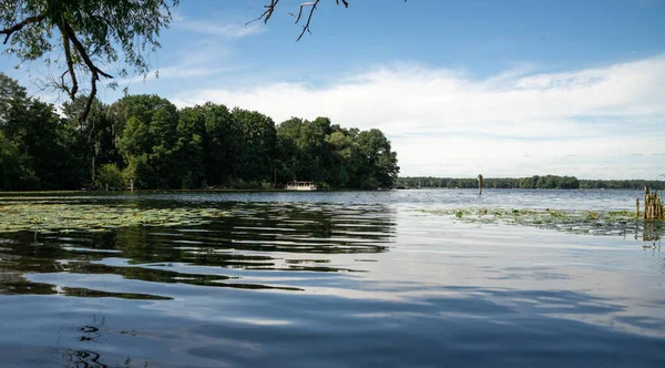 Plan Fascinant Lac Calme Entouré Arbres — Photo