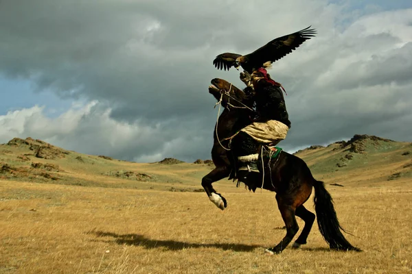Ulgii Mongolia Září 2019 Orlí Lovci Mongolska Portrétní Obrazy Horách — Stock fotografie
