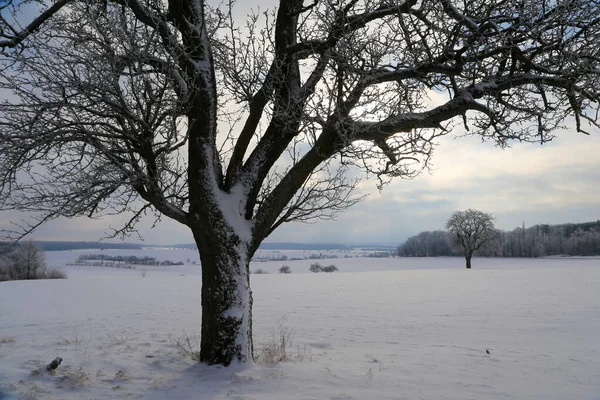 Krásná Krajina Pokrytá Sněhem Třpytícím Pod Zamračenou Oblohou — Stock fotografie