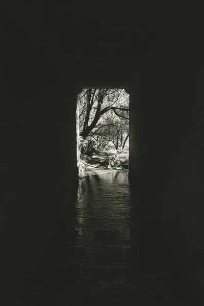 Eine Vertikale Graustufenaufnahme Der Natur Durch Den Tunnel — Stockfoto