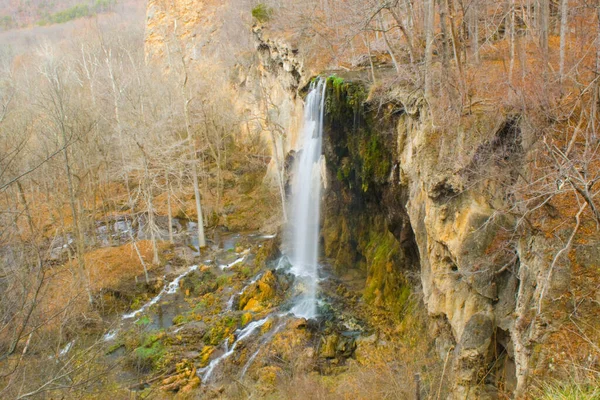 Krásný Záběr Vodopádu Hnědém Lese — Stock fotografie