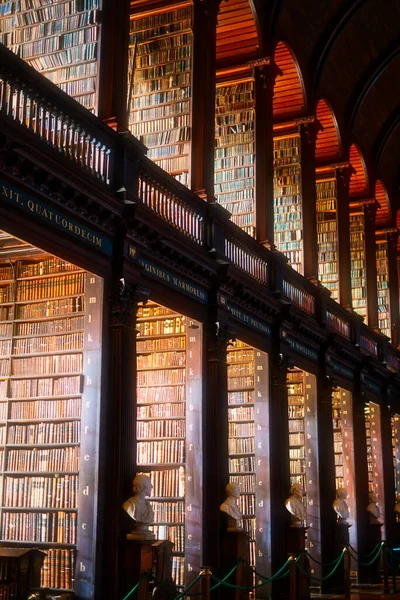 Вертикальный Снимок Книжных Полок Библиотеке Старыми Томами Книг — стоковое фото