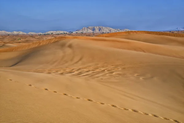 エルグの足跡を持つ砂漠の風景 — ストック写真