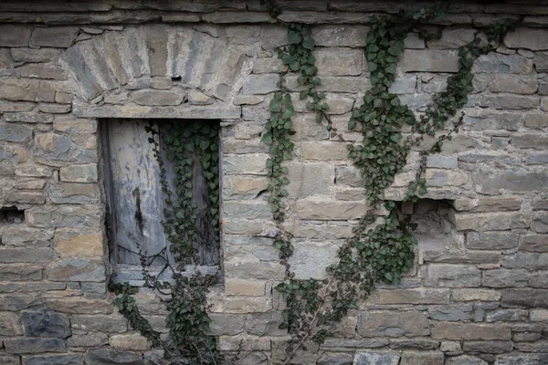 Viejo Edificio Piedra Abandonado Con Plantas Hiedra —  Fotos de Stock