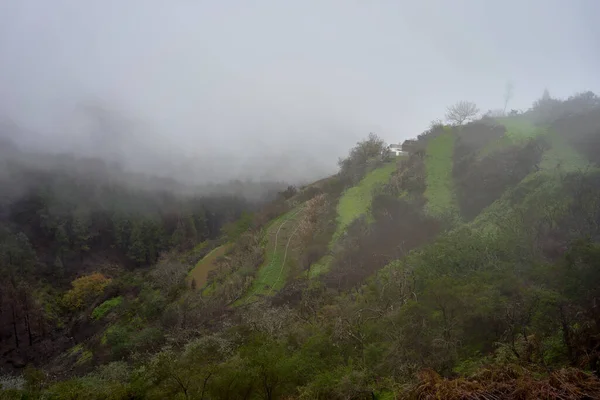一片雾蒙蒙的绿意盎然的美景 — 图库照片