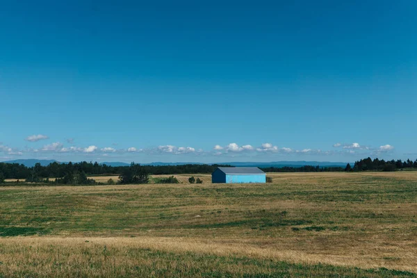 Una Pequeña Casa Rural Gran Campo Rodeado Árboles Durante Día —  Fotos de Stock