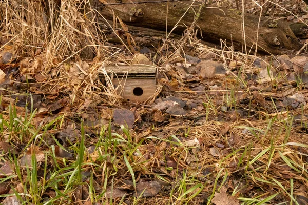 Closeup Wooden Birdhouse Forest Ground — Stock Photo, Image