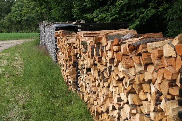 Closeup Stacked Tree Lumber Ground Surrounded Greenery Daytime — Fotografia de Stock