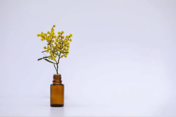 Tiro Close Pequeno Frasco Vidro Âmbar Isolado Com Flores Frescas — Fotografia de Stock