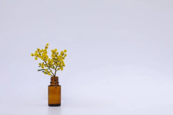 Ένα Μικρό Γυάλινο Φιαλίδιο Κεχριμπαριού Φρέσκα Κίτρινα Λουλούδια Που Απομονώνονται — Φωτογραφία Αρχείου