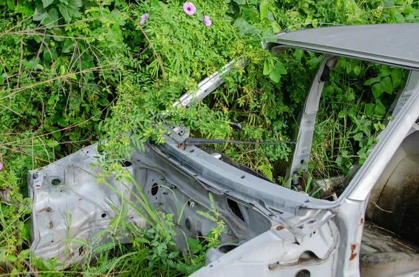 緑に囲まれたフィールドに捨てられた破壊された車の残骸 — ストック写真