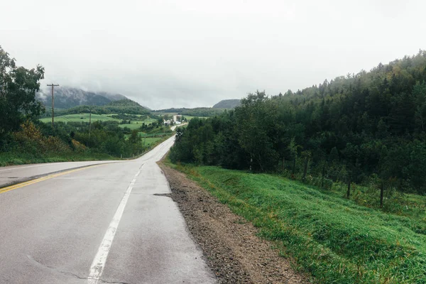 Tom Väg Omgiven Gröna Träd Och Natur Dimmig Dag — Stockfoto