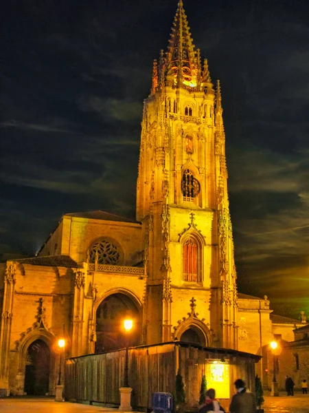 Plan Vertical Cathédrale Oviedo Espagne — Photo