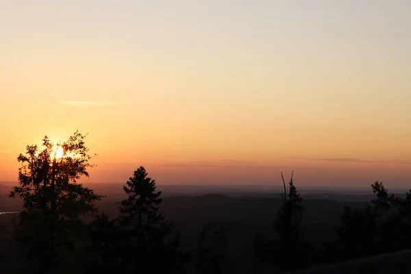 夕日の背景に美しい木のシルエットの空中ショット — ストック写真
