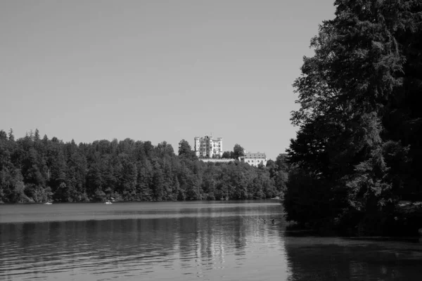 ノイシュヴァンシュタイン城とフッセン湖のグレースケールショット — ストック写真