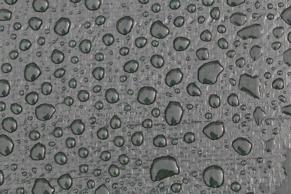 Eine Nahaufnahme Von Regentropfen Auf Einer Planke — Stockfoto