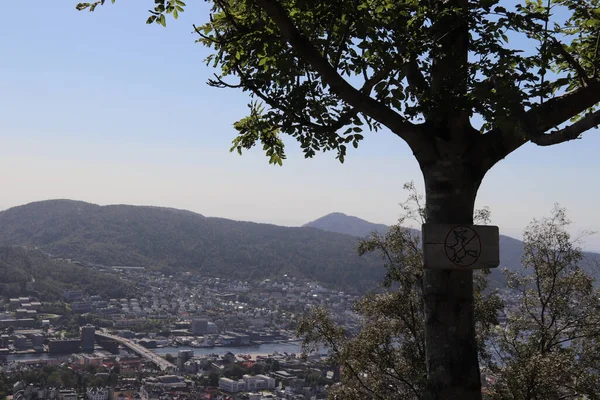 Uma Árvore Com Sinal Não São Permitidas Bruxas Vista Paisagem — Fotografia de Stock