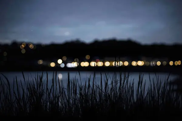 Primo Piano Erba Sagomata Con Luci Bokeh Offuscate Sullo Sfondo — Foto Stock