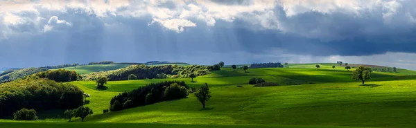 曇り空の下で木々が生い茂る緑の風景 — ストック写真