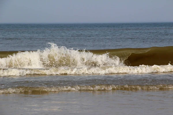 Juist Germany Sep 2013 Landscape Nature Northern Sea Island Juist — 图库照片