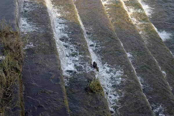 Primer Plano Agua Que Fluye Sobre Una Superficie Hormigón — Foto de Stock