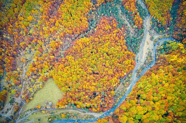 Μια Εκπληκτική Εναέρια Λήψη Ενός Δασικού Περιβάλλοντος Φθινόπωρο — Φωτογραφία Αρχείου