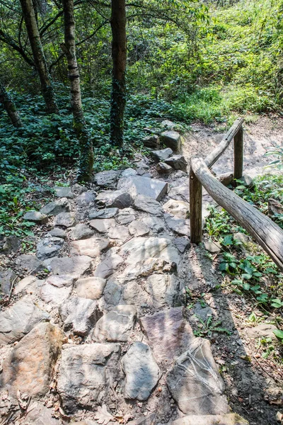 Paisaje Soleado Sendero Bosque Con Suelo Rocoso — Foto de Stock