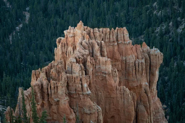 Las Formaciones Rocosas Rodeadas Vegetación Parque Nacional Bryce Canyon Utah —  Fotos de Stock