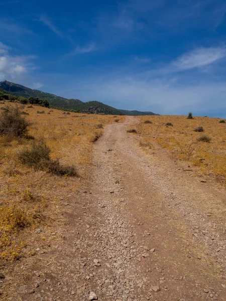 Colpo Verticale Una Strada Sterrata Polverosa Una Giornata Sole — Foto Stock