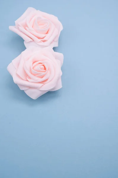 Tiro Vertical Duas Rosas Espumantes Isoladas Fundo Azul — Fotografia de Stock