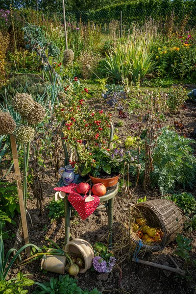 Primo Piano Tavolo Giardino Con Decorazioni Sotto Luce Del Sole — Foto Stock