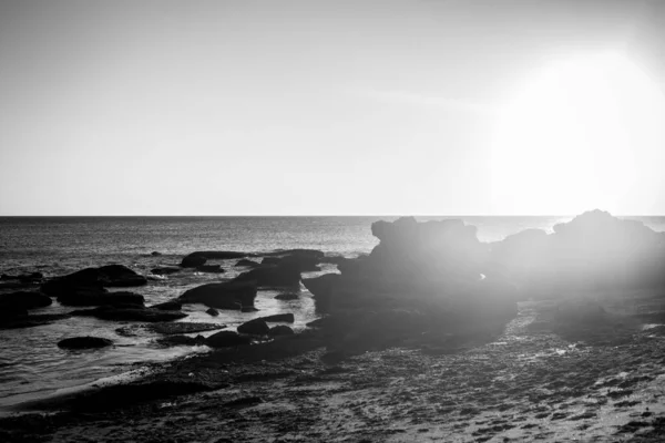 Grayscale Shot Beautiful Sandy Shore Clear Skyline — Stock Photo, Image