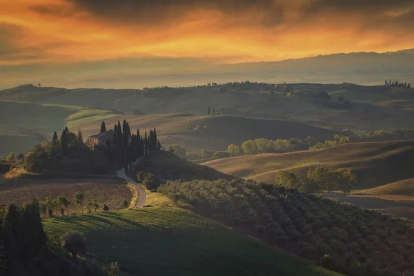 Den Berömda Gården Belvedere Hjärtat Toscana Italien — Stockfoto