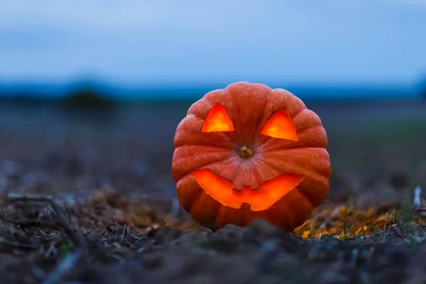 Oświetlona Dynia Halloween Podwórku — Zdjęcie stockowe