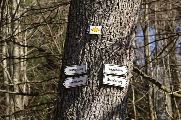 Nahaufnahme Von Vier Ortsschildern Mit Pfeilen Baum — Stockfoto