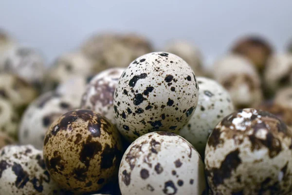 Closeup Shot Pile Fresh Quail Eggs — Stock Photo, Image