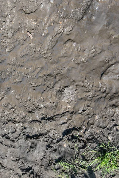 High Angle Shot Dirty Ground Sunlight — Stock Photo, Image