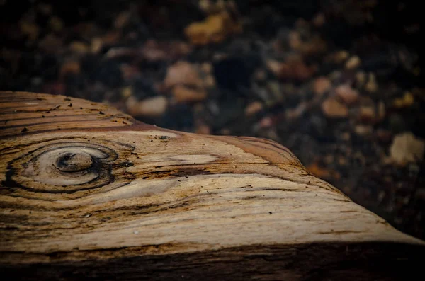 Closeup Old Wood Texture — Fotografia de Stock