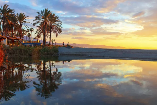 Gyönyörű Kilátás Nyílik Nyugodt Víz Pálmafák Banus Marbella Spanyolország Napkeltekor — Stock Fotó