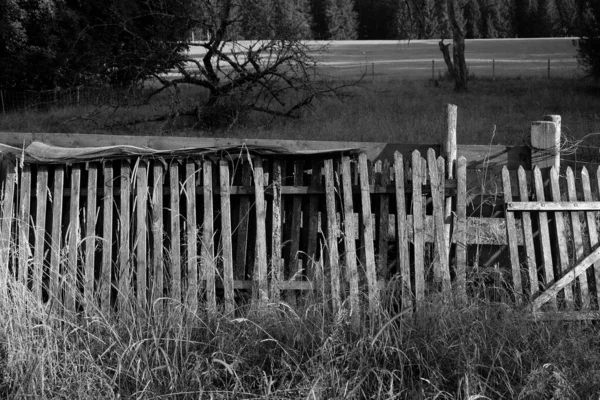 Grayscale Shot Wooden Fence Garden — Stock Photo, Image