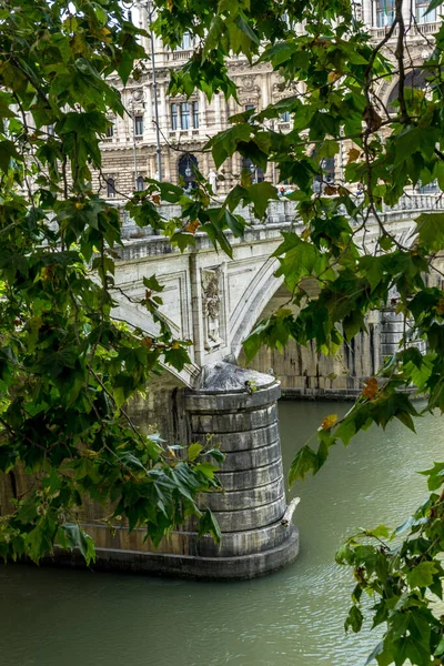 Jardín Con Lago Fondo Roma Italia —  Fotos de Stock