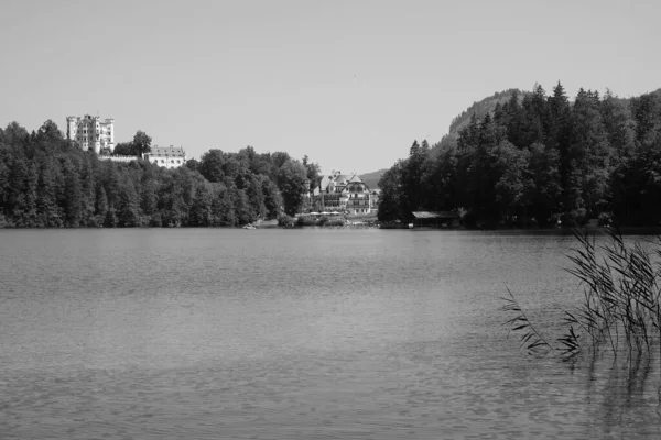 Gråskala Bild Neuschwanstein Slott Och Fussen Sjön — Stockfoto