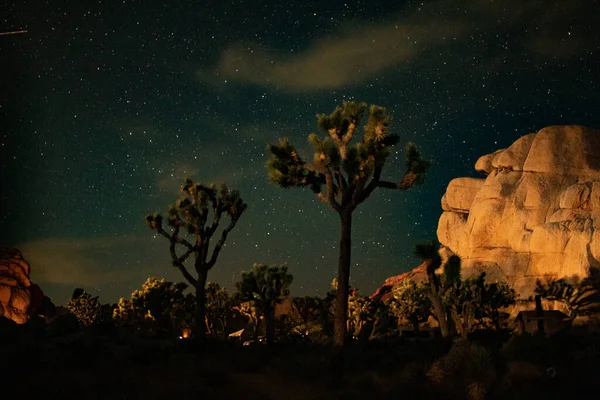 Hisnande Utsikt Över Vintergatan Galaxen Vid Joshua Tree National Park — Stockfoto