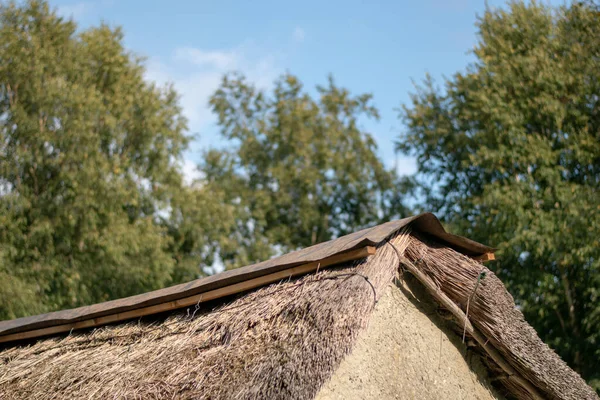 Tiro Foco Seletivo Uma Antiga Casa Campo Rural Com Telhado — Fotografia de Stock