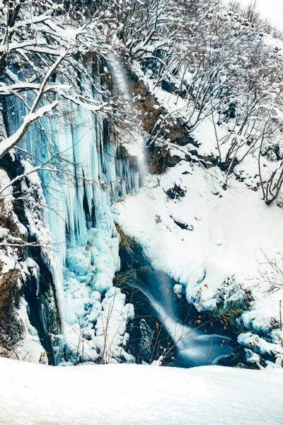 白雪覆盖的森林中瀑布的垂直镜头 — 图库照片