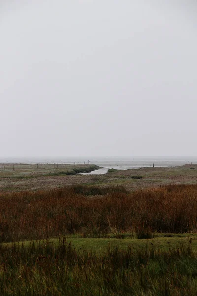 Juist Duitsland Sep 2013 Het Landschap Natuur Van Het Noordelijke — Stockfoto