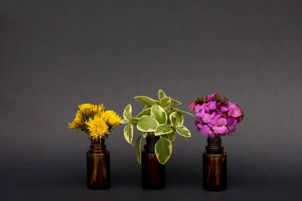 Drei Kleine Ätherische Ölflaschen Aus Bernsteinglas Mit Löwenzahnsträußen Mauerblümchen Und — Stockfoto