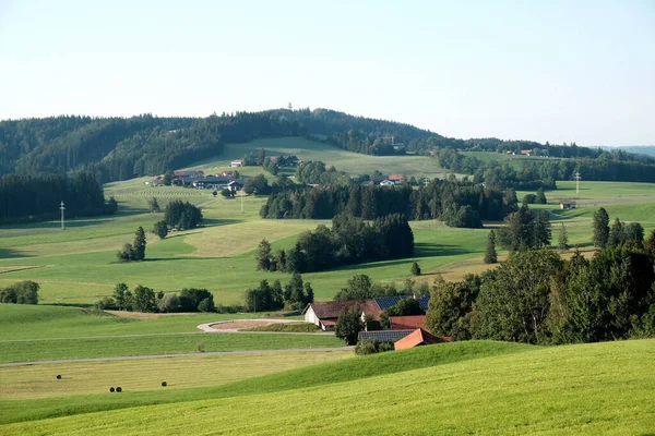 Ett Bostadsområde Skog — Stockfoto