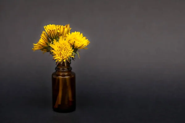 Ein Bund Gelber Löwenzahnblüten Auf Einem Kleinen Bernsteinglas Ätherisches Flasche — Stockfoto