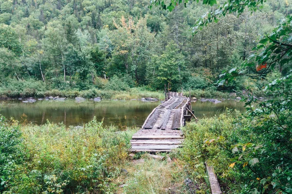 Vieux Pont Bois Sur Une Rivière Entourée Arbres Verts Nature — Photo